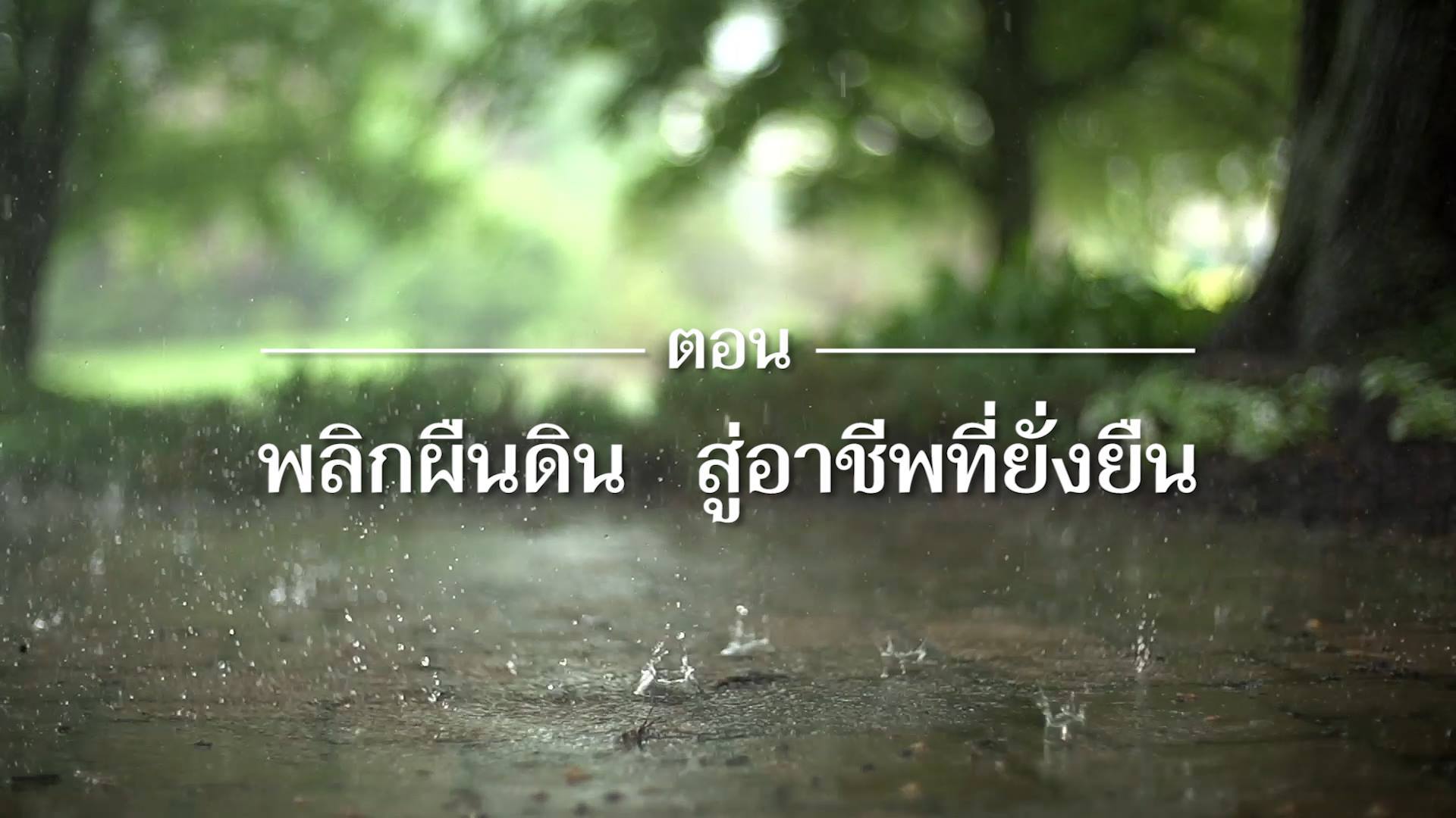 สารคดี “เสียงจากแผ่นดิน” ตอน 1 พลิกผืนดิน สู่อาชีพที่ยั่งยืน
