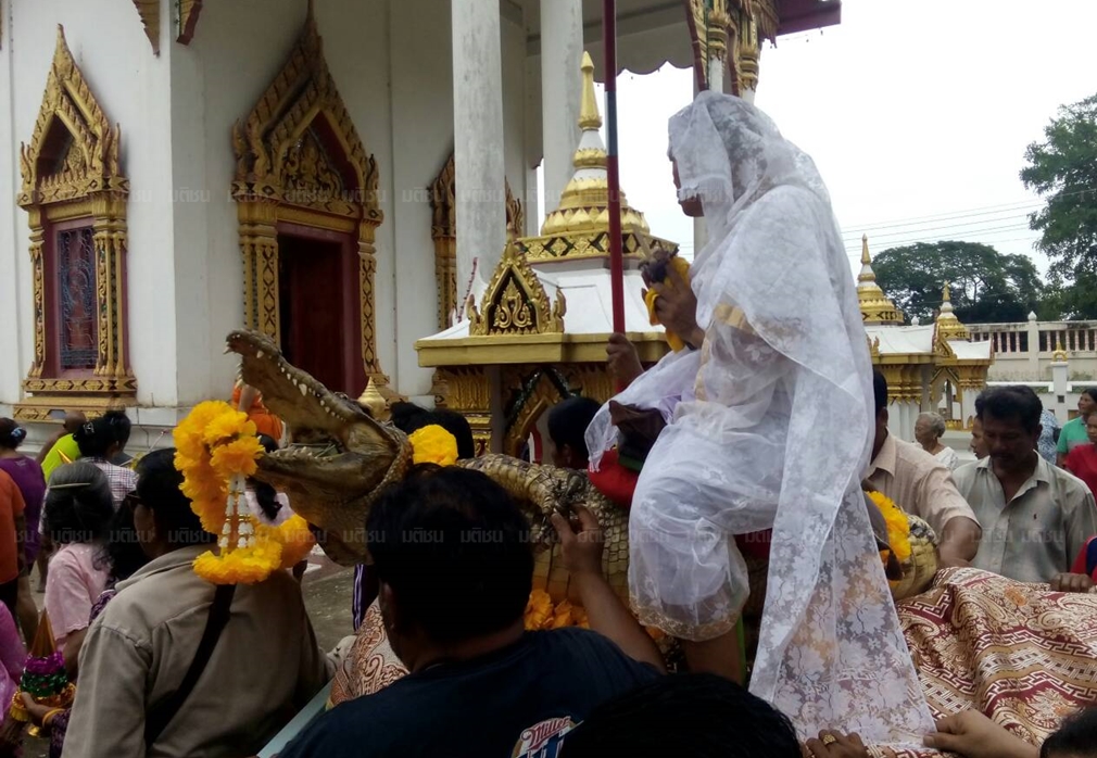ฮือฮา! ชายพิจิตรขี่จระเข้บวชนาค ตั้งใจไม่สึก อุทิศให้พ่อแม่-จระเข้รักที่เพิ่งตายไป