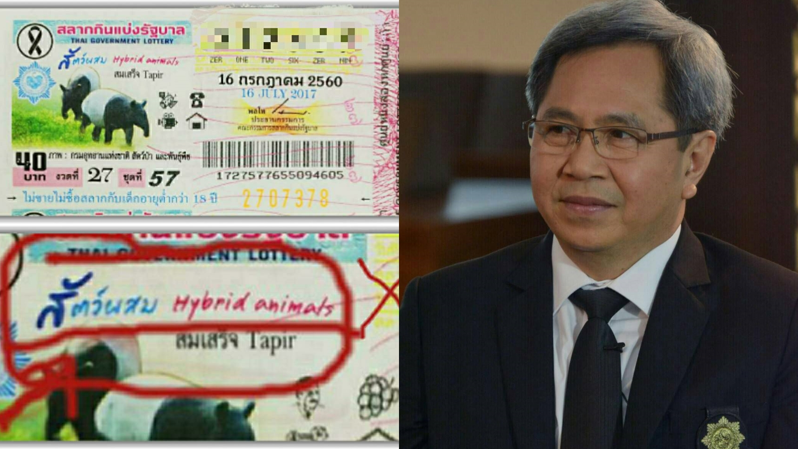 สำนักงานสลากฯแจงภาพ “สมเสร็จ” บนสลากเป็นจินตนาการผู้ถ่าย หลังถูกติงระบุบนสลากว่าสมเสร็จเป็นสัตว์ผสม