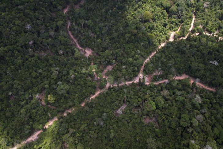 BRAZIL-GREENPEACE-TIMBER-ILLEGAL-FELLING