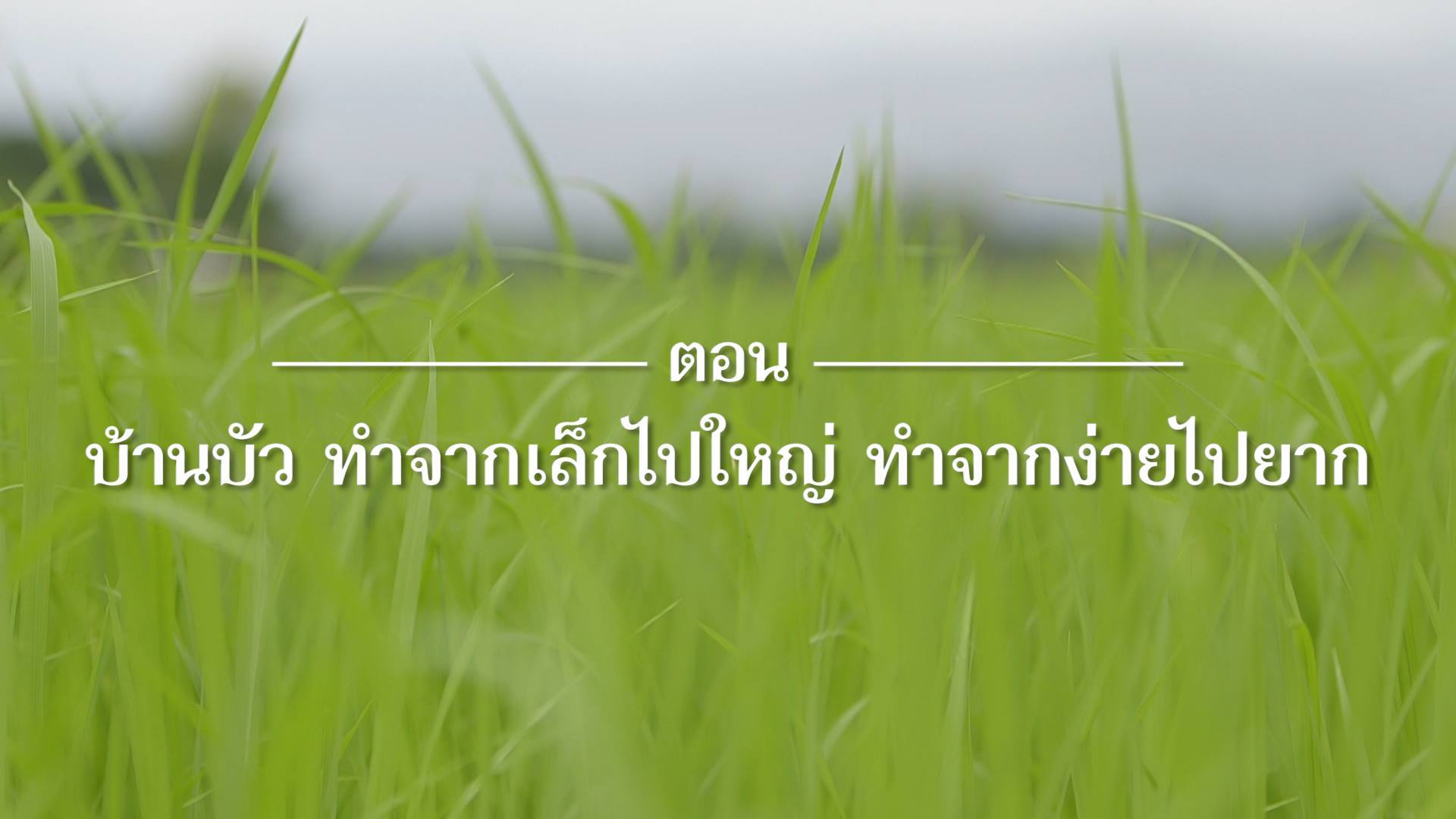 เสียงจากแผ่นดิน ตอน4 “บ้านบัว” ทำจากเล็กไปใหญ่ ทำจากง่ายไปยาก