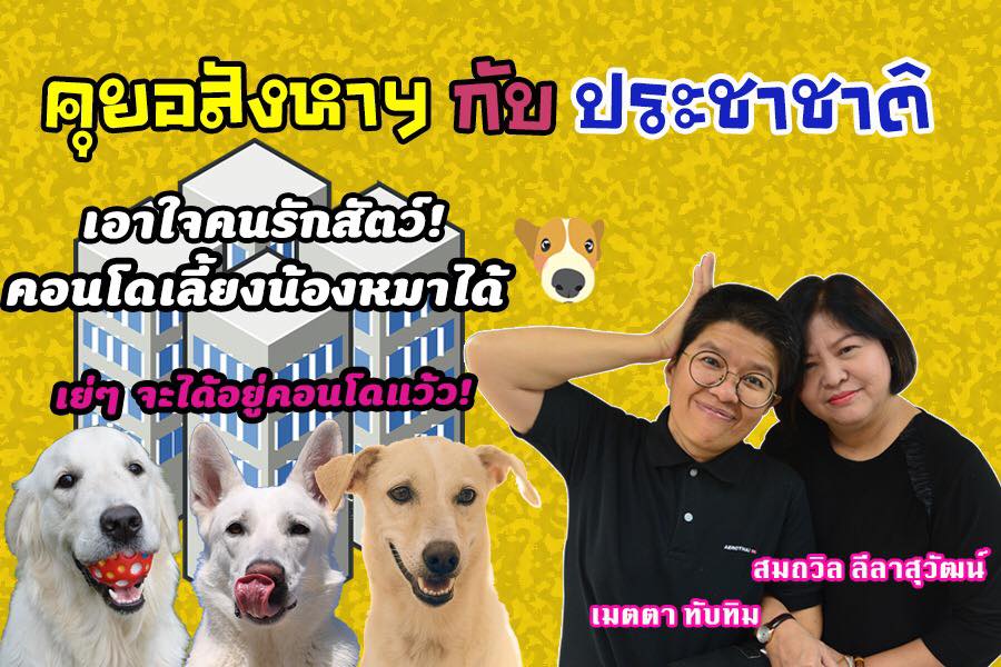 ไม่ต้องหลบๆ ซ่อนๆ อีกต่อไป! เทรนด์ใหม่กำลังมา “คอนโดเลี้ยงน้องหมา” เปิดออปชั่นพิเศษเลี้ยงน้องหมาได้