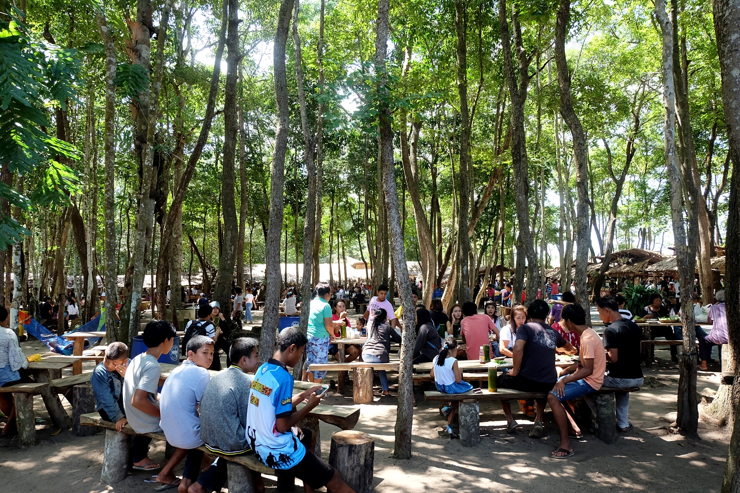 วันอาทิตย์มีนัด! พาช็อปของถูก ชิมของอร่อย “หลาดใต้เคี่ยม” ตลาดใหม่สุดคึกคักชุมพร