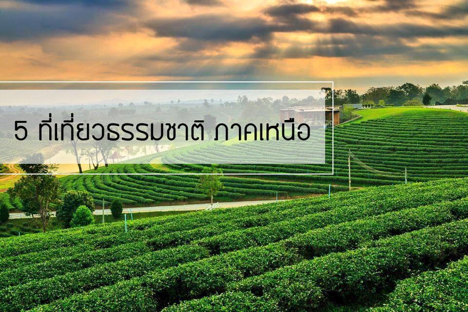 5 ที่เที่ยวธรรมชาติสวยสะดุดตาภาคเหนือ