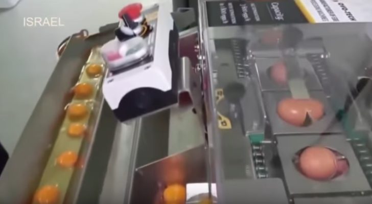 ตอกไข่