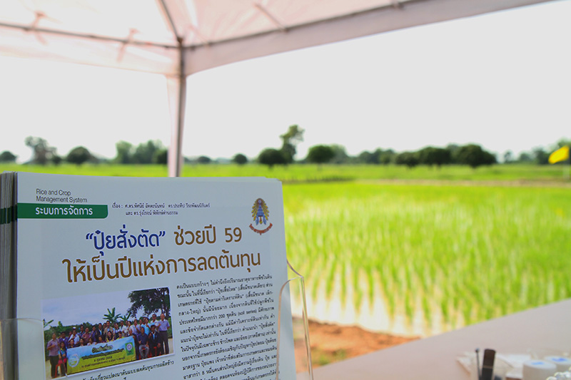 ศูนย์นาสาธิตรัชมงคล ลดต้นทุน-เพิ่มผลผลิตต่อไร่