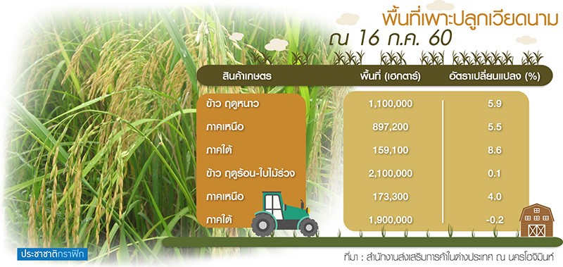 เวียดนามวิจัย 10 ข้าวพันธุ์ใหม่ แข่งเดือดตลาดส่งออกเฉือนราคาสู้ไทย-