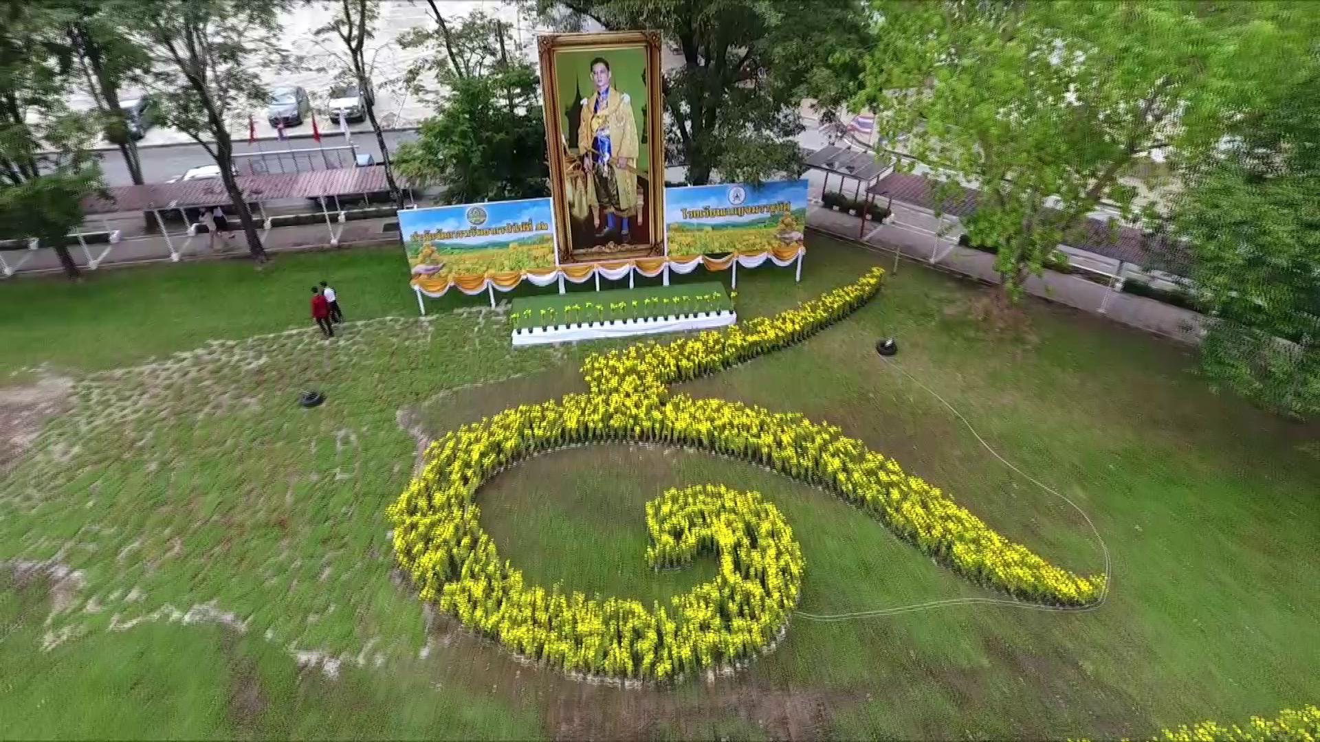 เทศบาลเมืองกะทู้เรียงต้นดาวเรืองบานสะพรั่งเป็นเลข 9 ตามสถานที่ต่างๆ เมืองคอนแปรอักษรรักพ่อจากแปลงดาวเรือง