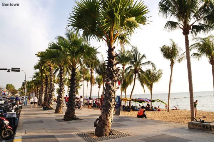 นึกว่าหาดไมอามี! แห่แชร์ภาพถนนเลียบชายหาดพัทยา หลังนำสายไฟฟ้าลงดิน