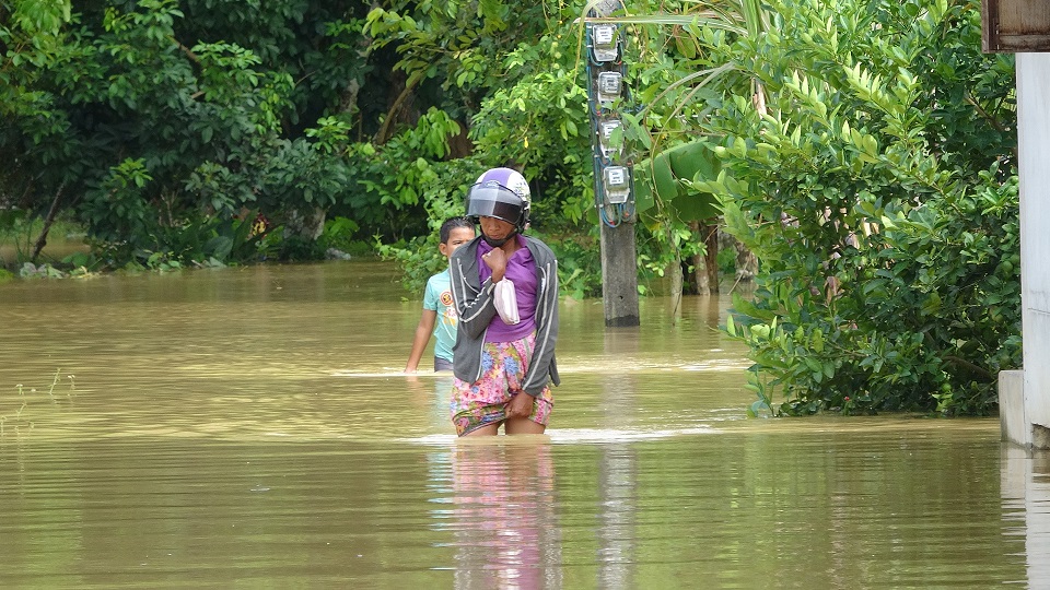 สตูลอ่วม! น้ำป่าทะลักจมหลายอำเภอ ถนนหลายสายถูกตัดขาด พืชผลเกษตรเสียหาย