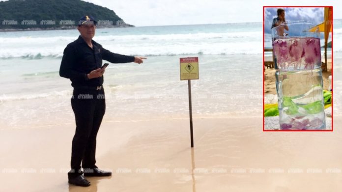 เตือนนทท.! ระวังแมงกะพรุนเรือรบโปรตุเกส พิษร้ายเเรงโผล่หาดในหาน ปักป้ายเตือนห้ามลงทะเล