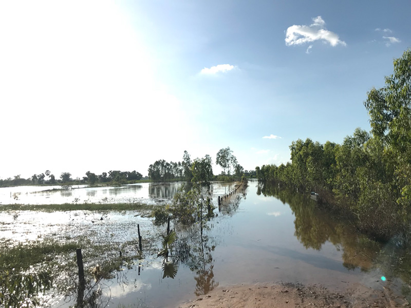อีสานน้ำท่วมหนักซ้ำสอง “หอมมะลิ” พุ่งแตะ 14,000 บ.-