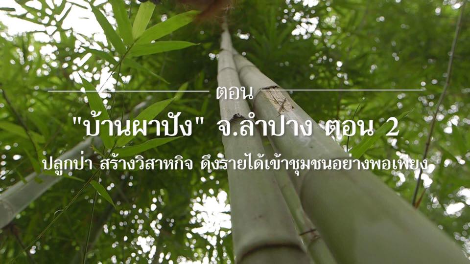 สารคดีเสียงจากแผ่นดิน ชุมชนผาปัง จ.ลำปาง ตอนที่ 2 สร้างวิสาหกิจ ดึงรายได้เข้าชุมชนอย่างพอเพียง