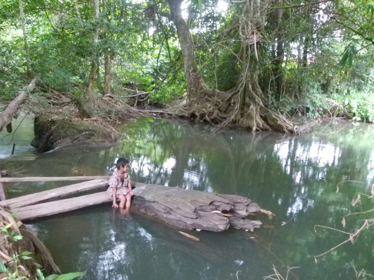 ร้อง”กรมควบคุมมลพิษ”ไม่จริงใจฟื้นฟูลำห้วยปนเปื้อนตะกั่ว ด้าน บ.แร่ตะกั่วยังนิ่งไม่ชดใช้ 36 ล้านให้ชาวกะเหรี่ยง