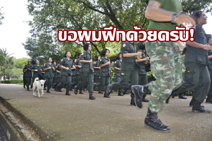 ขอผมฝึกด้วยครับ! “เจ้าขาว” สุนัขแสนรู้ชอบฝึก “รด.” กับนักเรียนเรียกรอยยิ้มจากผู้พบเห็น