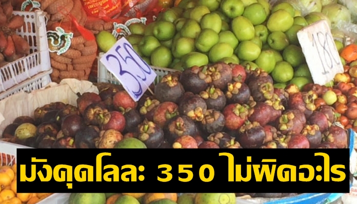 พาณิชย์เชียงใหม่ ชี้ มังคุดกิโลละ 350 ไม่ผิดอะไร เพราะแสดงป้ายไว้ชัดเจน