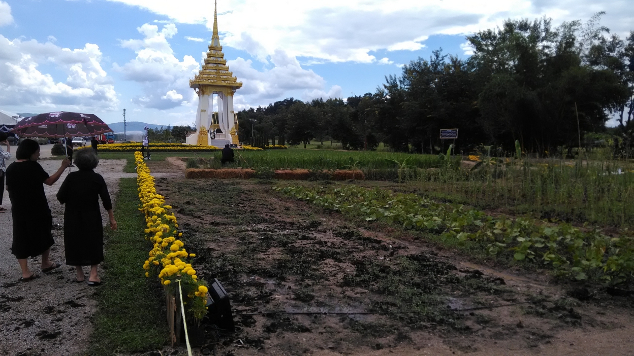 เชียงรายจัดแปลงเศรษฐกิจพอเพียง 2 ไร่ ข้างพระเมรุมาศจำลอง
