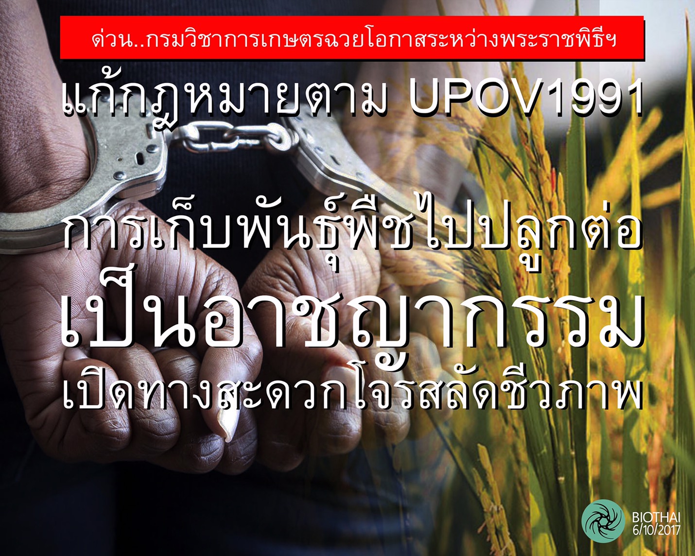 BIOTHAI ออกโรงค้านกรมวิชาการเกษตรฉวยโอกาสแก้กม.คุ้มครองพันธุ์พืช