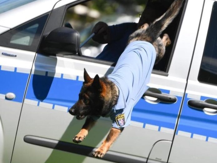 polizei3-696x680
