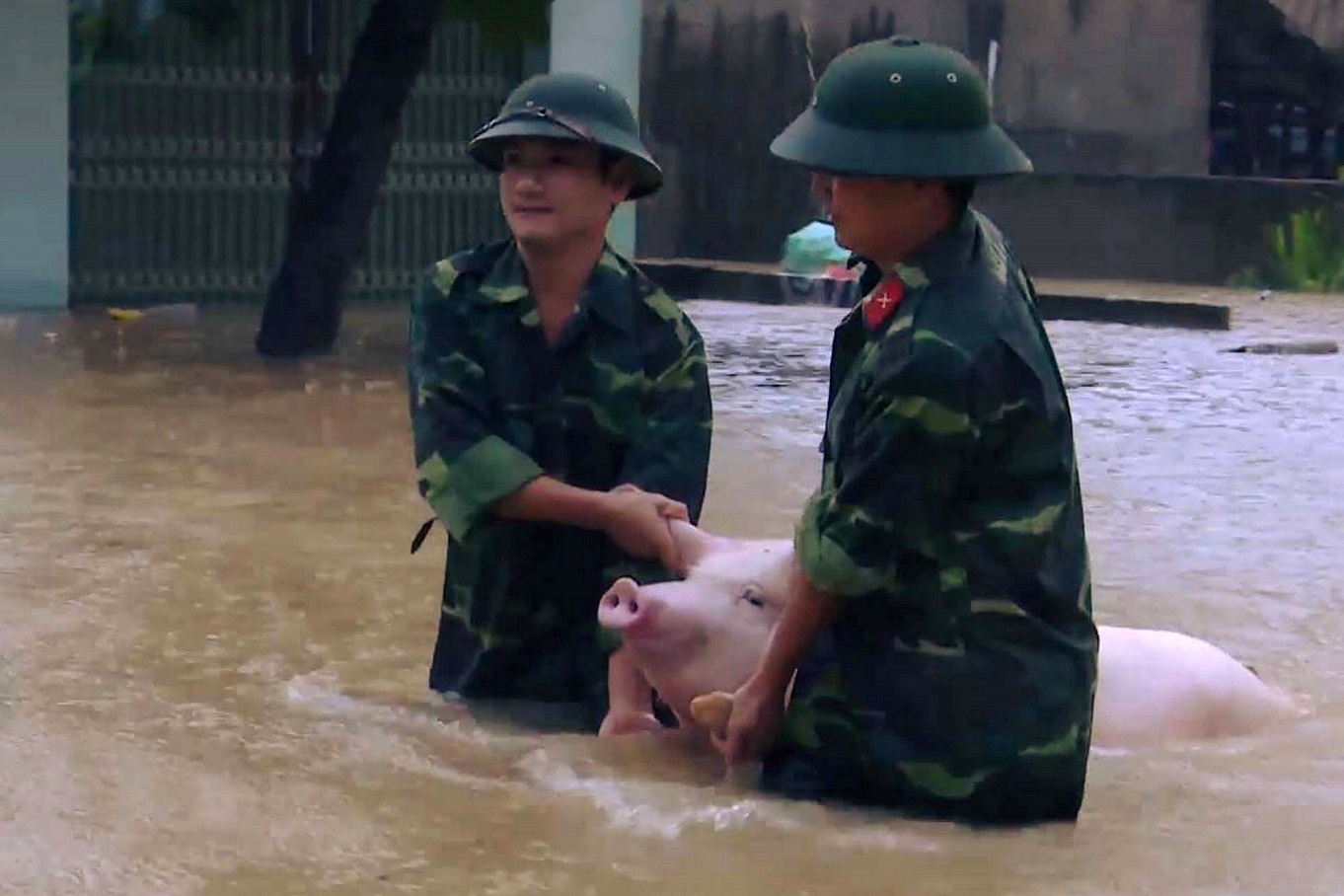 พิษดีเปรสชั่น! ซัด’เวียดนาม’อ่วมเสียชีวิต 54 ศพ หมูลอยตายเกลื่อน