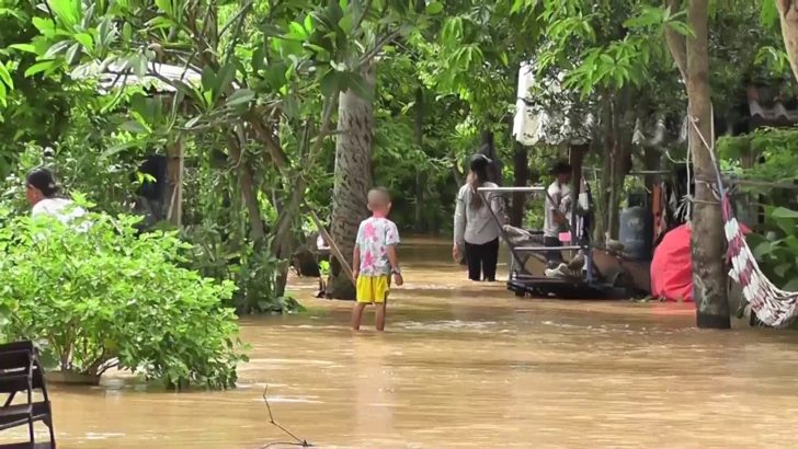 น้ำท่วม 10 อำเภอลุ่มน้ำน่าน-น้ำยมยังต้องเฝ้าระวัง ชาวบ้านหันจับกุ้งนาชั่งกิโลขายสร้างรายได้ทดแทน