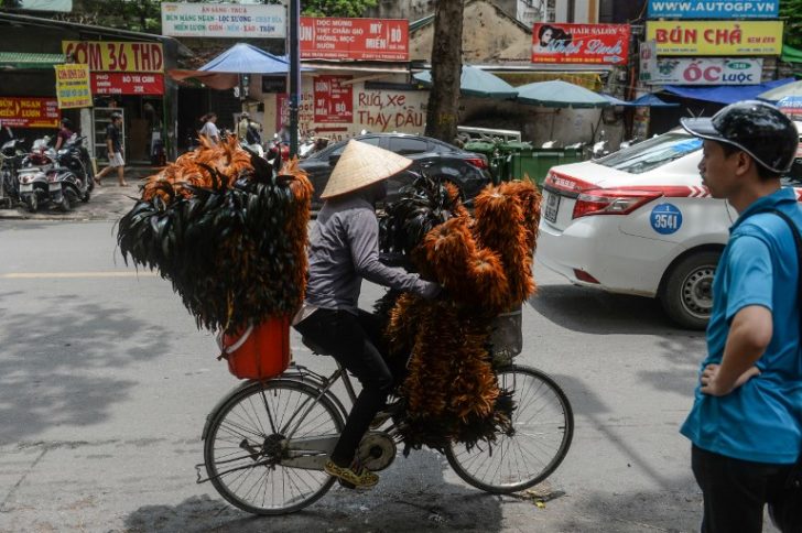VIETNAM-LIFESTYLE-ANIMAL-HOUSEHOLD