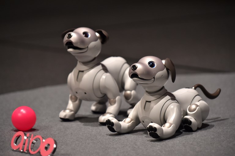 โซนี่คืนชีพหุ่นยนต์สุนัข “aibo” มาพร้อม AI – รองรับอินเทอร์เน็ตได้