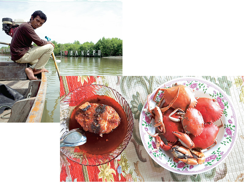 ชวนชมป่าโกงกาง ล่องอ่าวปัตตานีที่บางปู-