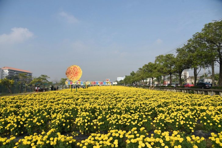 ผู้ว่าฯ ชวนเที่ยวลาดพร้าว รับลมหนาวชมดาวเรือง ใหญ่สุดในกทม. หลังร.ร.สตรีวิทยา 2 จนถึงสิ้นปี