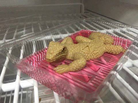 หลังวุ้นน้องหมาดังมาแล้ว ล่าสุดต้องลอง! ร้านขนมออกแบบ “วุ้นตัวเงินตัวทอง”