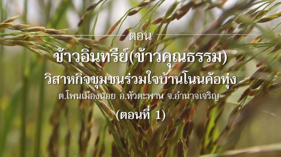 สารคดีเสียงจากแผ่นดิน season 2 EP.6 ข้าวอินทรีย์ (ข้าวคุณธรรม) วิสาหกิจชุมชนร่วมใจบ้านโนนค้อทุ่ง ต.โพนเมืองน้อย อ.หัวตะพาน จ.อำนาจเจริญ (ตอนที่ 1)