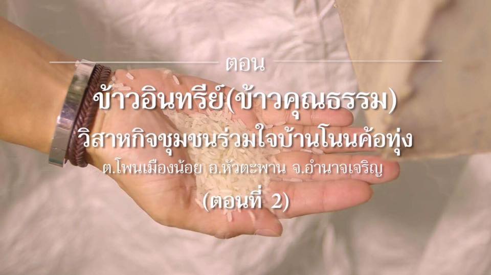 สารคดีเสียงจากแผ่นดิน season 2 EP.7 ข้าวอินทรีย์ (ข้าวคุณธรรม) วิสาหกิจชุมชนร่วมใจบ้านโนนค้อทุ่ง จ.อำนาจเจริญ (ตอนที่ 2)