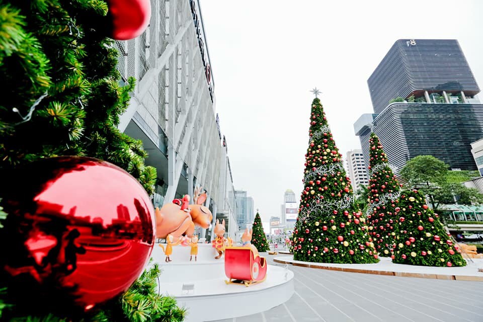 เริ่มแล้ว! บรรยากาศสีสันปลายปีบานสะพรั่งเต็มพื้นที่ใจกลางเมือง