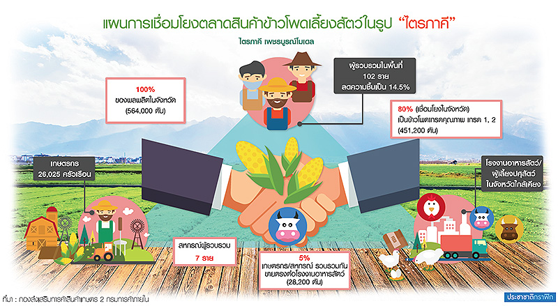 เพชรบูรณ์โมเดล ต้นแบบจัดการ “ข้าวโพด” ทั้งระบบ
