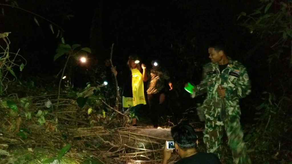 นักท่องเที่ยวหญิงชาวเดนมาร์กหลงป่าเขาชะเมา พบนั่งพิงต้นไม้สภาพอิดโรย
