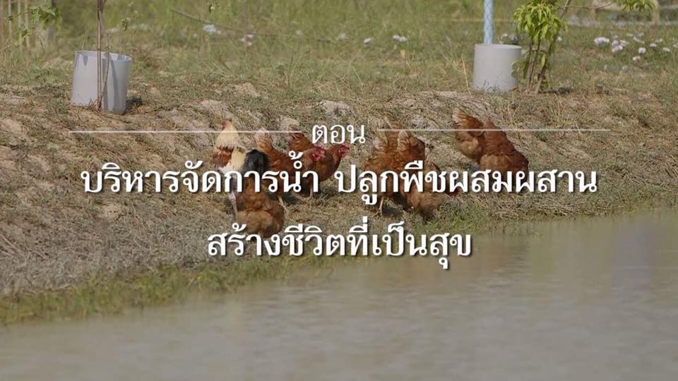 สารคดีเสียงจากแผ่นดิน season 2 EP.11 เสียงจากแผ่นดิน บริหารจัดการน้ำ ปลูกพืชผสมผสาน สร้างชีวิตที่เป็นสุข