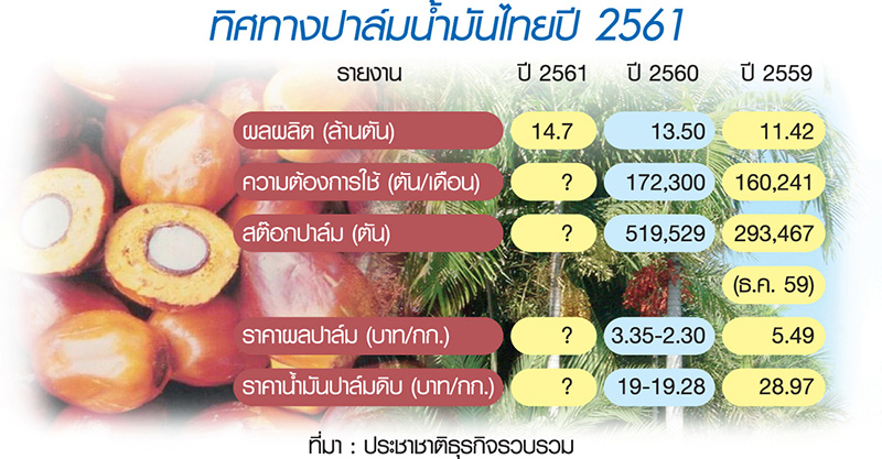 บทเรียนปาล์มปี’60 สู่ปี’61