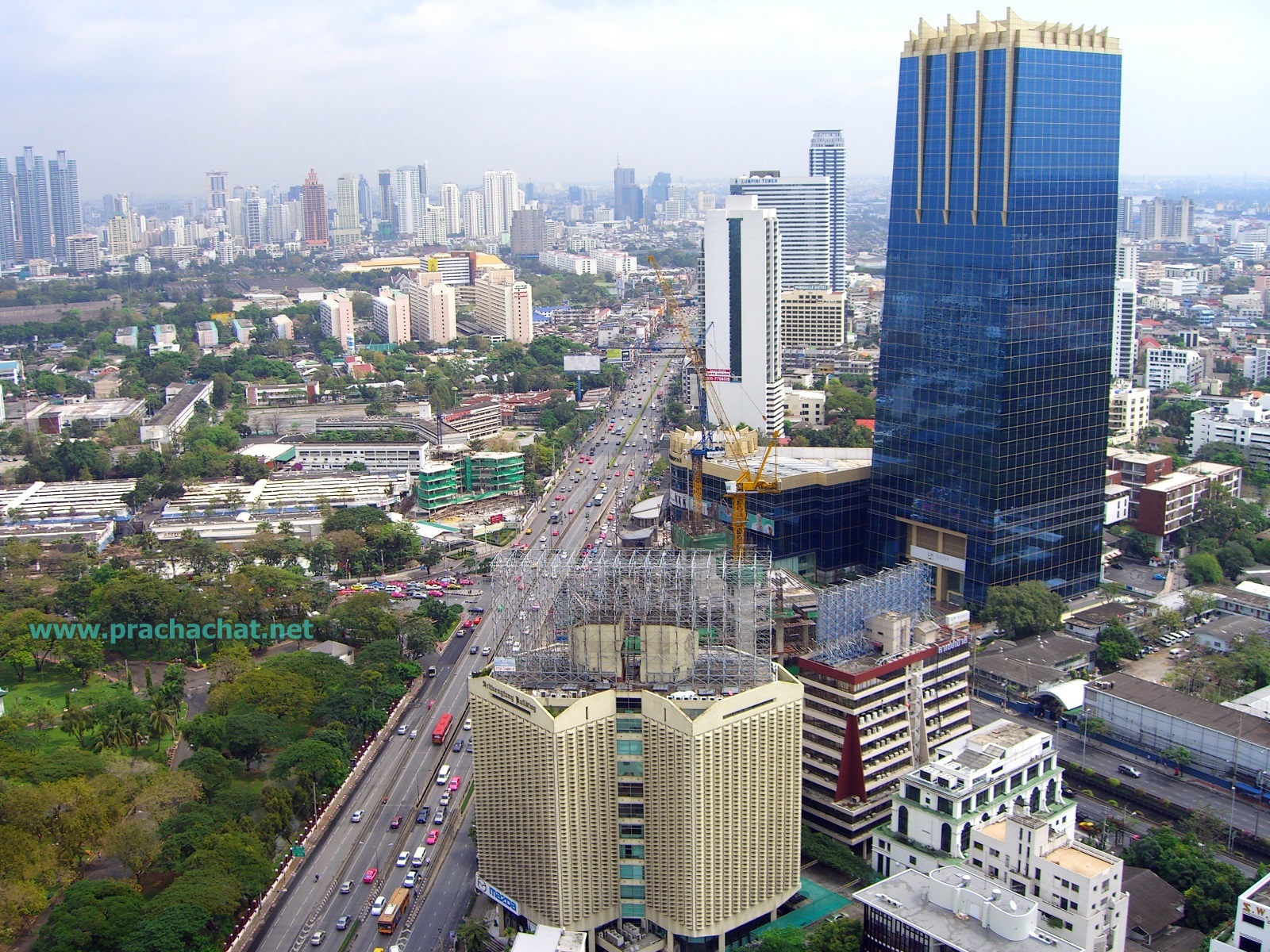 ตามล่า “ห่านทองคำ”