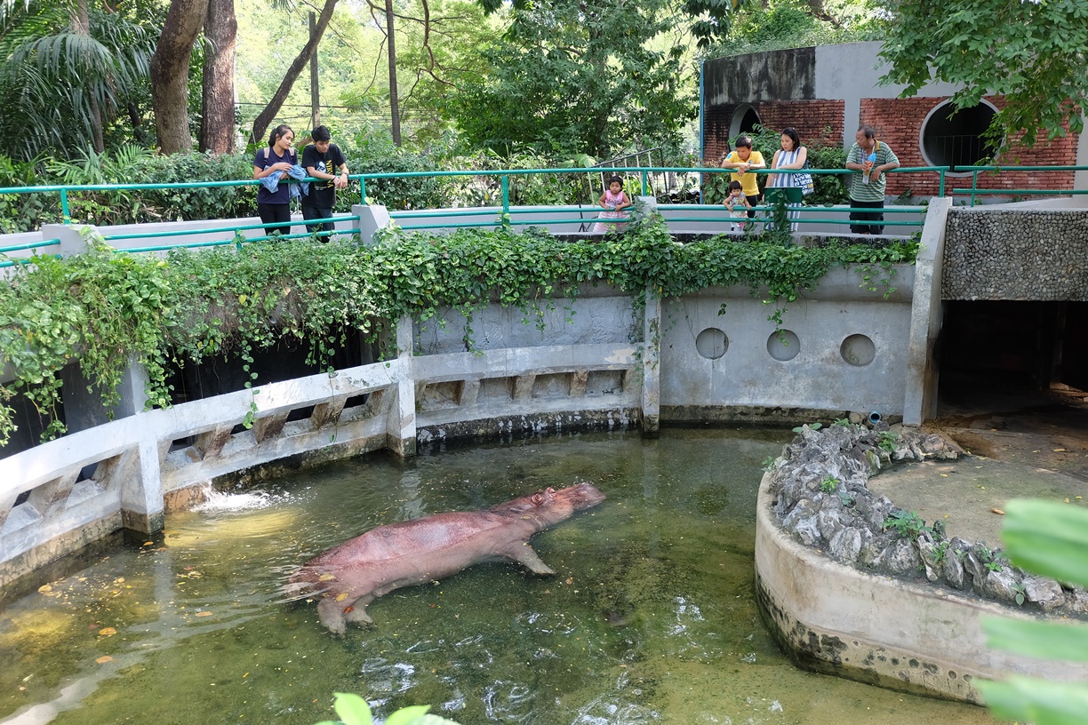 เที่ยวส่งท้ายปีที่ “สวนสัตว์ดุสิต” ก่อนปิดตำนานสวนสัตว์กลางกรุง