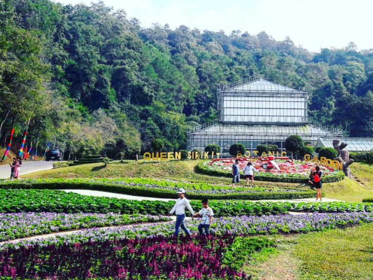 น่าไป! ทส.ชวนเที่ยวงาน Botanic Festival 2018 “Colourful Garden” เชียงใหม่ อัศจรรย์พันธุ์ไม้หลากสี
