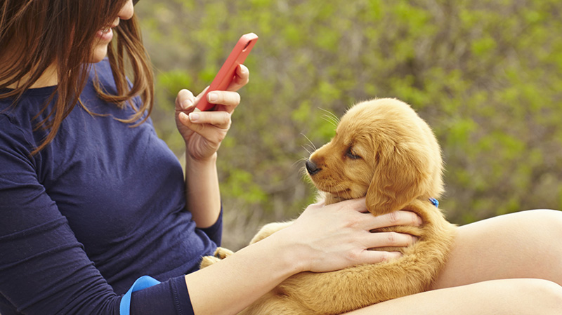 ความรัก ความโสด ความเหงา ทำให้เรา…มาเจอกัน Pet Lover สะพรั่ง 2.9 หมื่น ล้าน