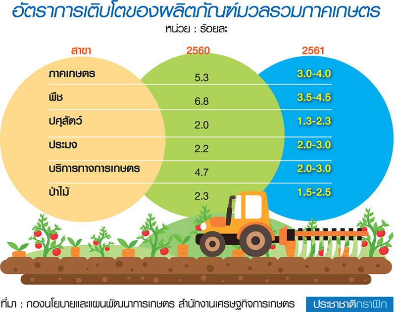 จีดีพีเกษตร ปี”61พุ่ง