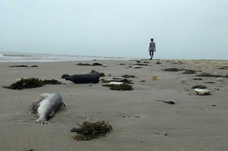VIETNAM-TAIWAN-FISHING-ENVIRONMENT-COMPANY