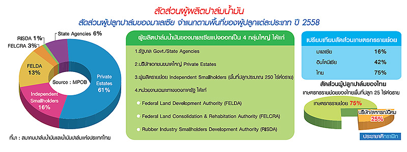 ไทยกับการสร้างความมั่นคง ในวงจร “สินค้าเกษตร”