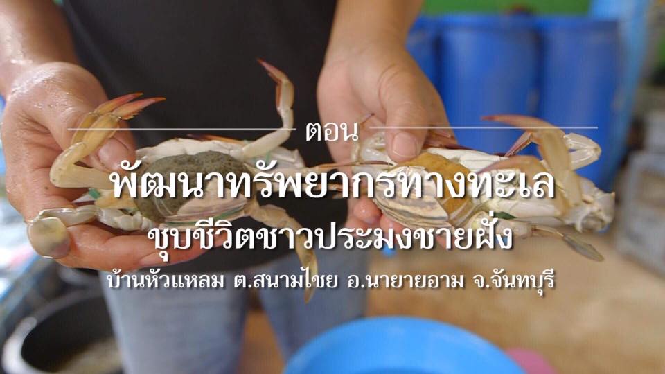 สารคดีเสียงจากแผ่นดิน season 2 EP.13 พัฒนาทรัพยากรทางทะเล ชุบชีวิตชาวประมงชายฝั่ง