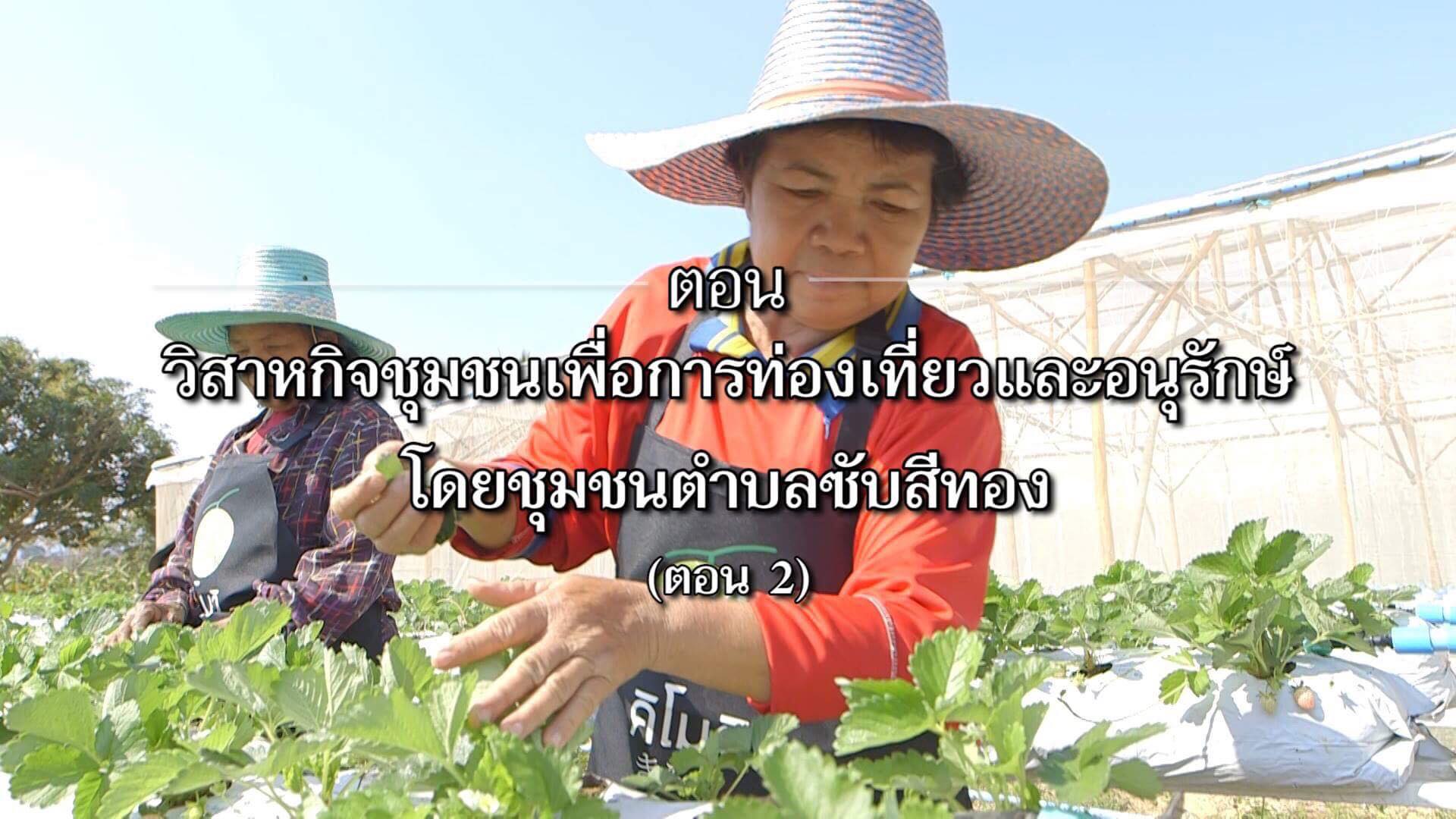 สารคดีเสียงจากแผ่นดิน Season 2 EP.15 วิสาหกิจชุมชนเพื่อการท่องเที่ยวและอนุรักษ์ ตอนที่ 2