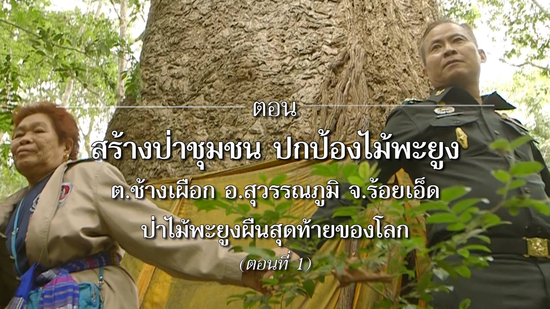 สารคดีเสียงจากแผ่นดิน season 2 EP.16 สร้างป่าชุมชนไม้พะยูง ป่าไม้พะยูงผืนสุดท้ายของโลก ตอนที่ 1
