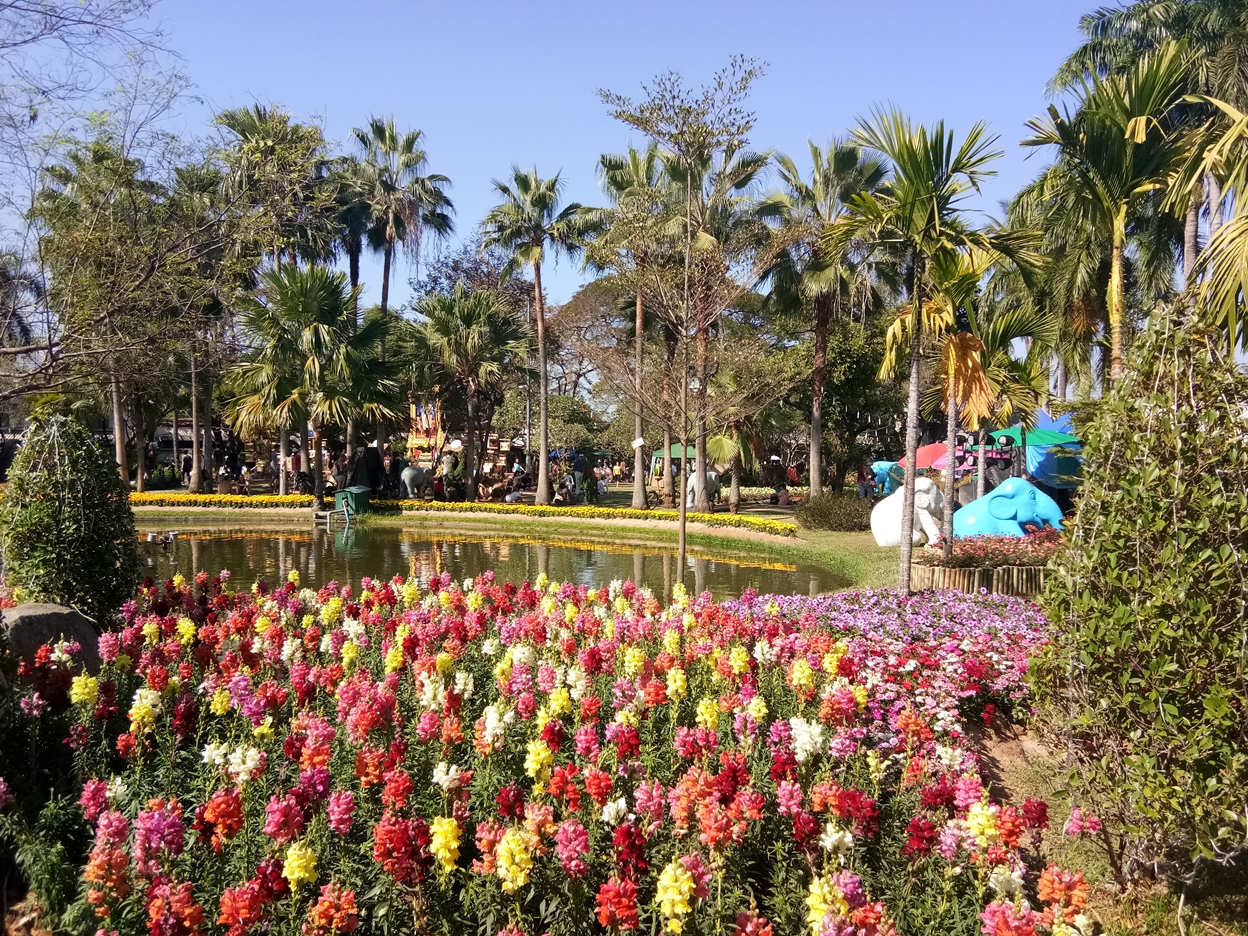 เชียงใหม่ยกระดับงานไม้ดอกไม้ประดับปี’61 ดึง TCEB ปั้น “Chiang Mai Blooms 2018”