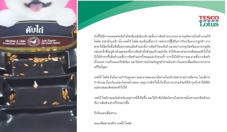 มันจะขนลุกหน่อยๆ “โลตัส” ร่อนหนังสือเเจงดราม่า “อาหารเน่า” ปล่อยให้หนอนขึ้น