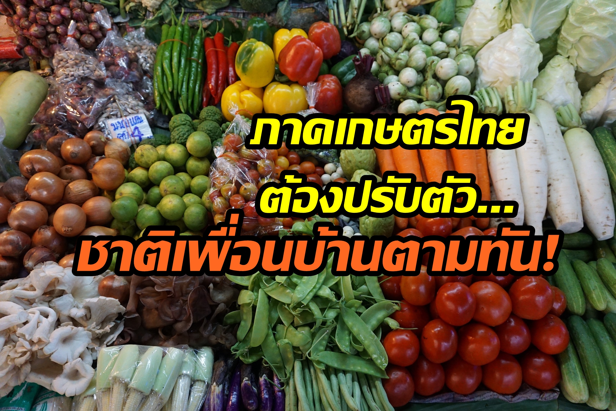 ห่วงภาคเกษตรไทยย่ำแย่! เกษตรเพื่อนบ้านไล่จี้ เร่งปรับตัวใช้เทคโนโลยี-จำกัดแทรกแซงตลาด